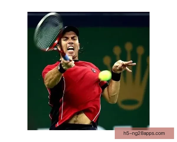 以色列女网退赛拒赴波黑避险风